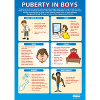 Personal, Social and Health School Poster - Puberty in Boys