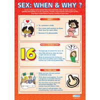 Personal, Social and Health School Poster- Sex: When and Why?