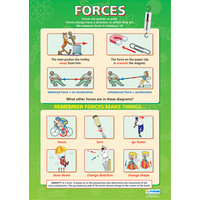 Science School Poster-  Forces