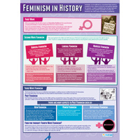 Feminism in History