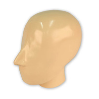 X-ray Phantom Head with Cervical Vertebrae, Opaque