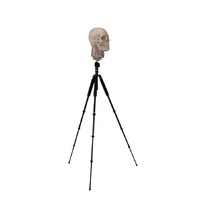 Tripod for X-ray Phantom Head