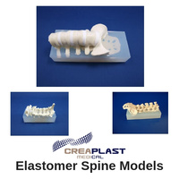 Elastomer Spine Models