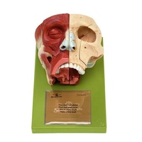 NOSE AND NASALCAVITIES