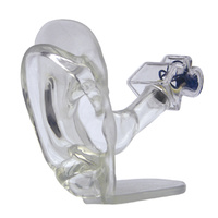 Anatomical Model- Clear Ear