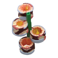 Anatomical Model- 4 Piece Bronchus
