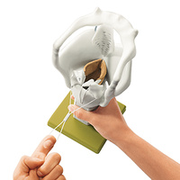 Cartilages of the Larynx