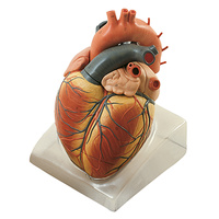Heart, 2x (3pt)