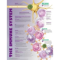 Anatomical Chart- The Immune System 