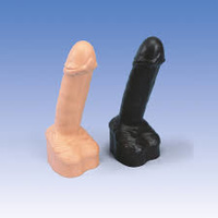 Anatomical Models about Condom Training Model, White Model