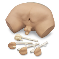 Life/form Prostate Examination Simulator