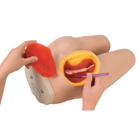 Intramuscular Injection Simulator