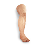 Life/form Suture Practice Leg