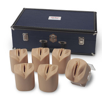 Life/form Cervical Dilatation and Effacement Simulators