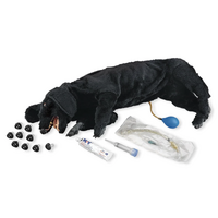 Canine CPR Simulator - Life/Form BASIC