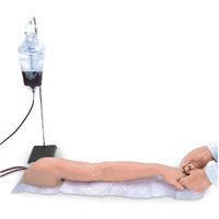 Advanced Multi IV & Injection Training Arm