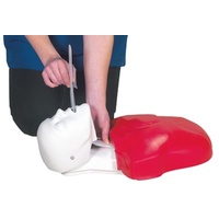 Basic Buddy Lung/Mouth Bags - Pack of 100 Nasco Lifeform