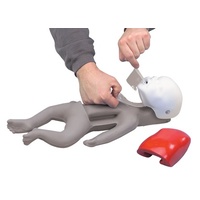 Baby Buddy Lung/Mth Bags - Pack of 100 Nasco Lifeform