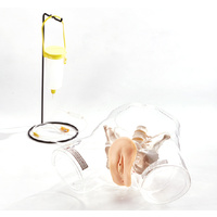 Sakamoto Transparent Catheter Model (Female)