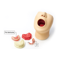 Sakamoto Oral Hygiene Model