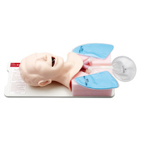 Sakamoto Suction Simulator