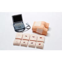 Training Phantom for Ultrasonic Observation of Tissue Damage Portable Ultrasonography