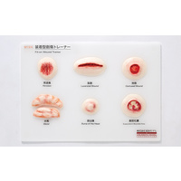 Wearable-Type Wound Trainer