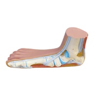 Foot, Flat