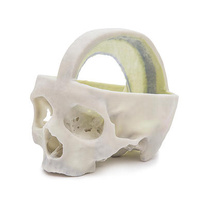 Anatomical Model- Dural Skull