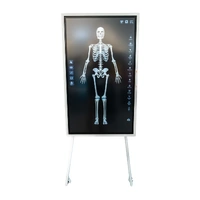 Sym Anatomy Virtual Anatomy Software