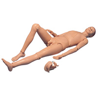 Patient Care Manikin Basic (Updated)