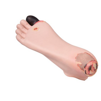 Decubitus Foot Treatment Trainer