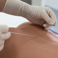 Lumbar Spinal Injection Trainer