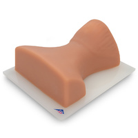 Cervical Spine Injection Trainer P67