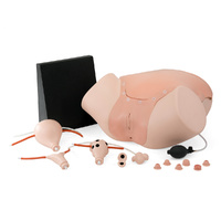 Gynecological Skills Trainer