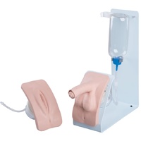 Catheterization Simulator Set BASIC