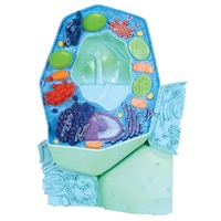 Plant cell model