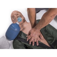 Airway Management Torso - Adult