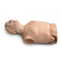 HAL Airway, CPR, and Auscultation Skills Trainer 