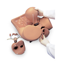 Gaumard ZOE Gynecologic Simulator
