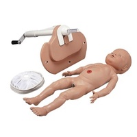 Birthing System Module