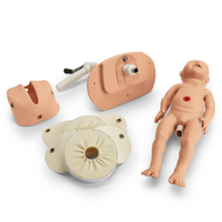 Gaumard Birthing System Module