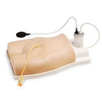 Suprapubic Training Model