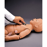 Gaumard Heart and Lung Sounds - 5 Year Old