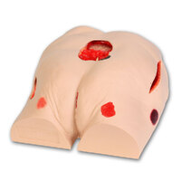 Seymour II Wound Care Model
