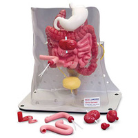 Otto Ostomy Package