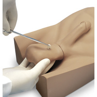 Gaumard No Scalpel Vasectomy (NSV) Model