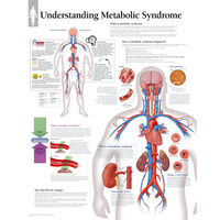 Understanding Metabolic Syndrome