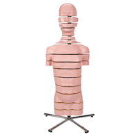 MRI Torso, 15 Transverse Sections