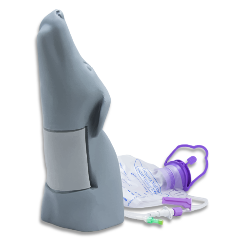 Canine Head Vascular Access Simulator